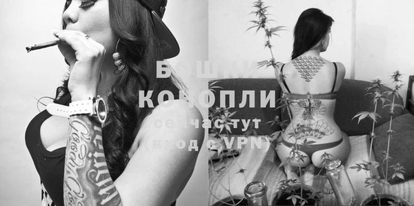 дмт Богородицк