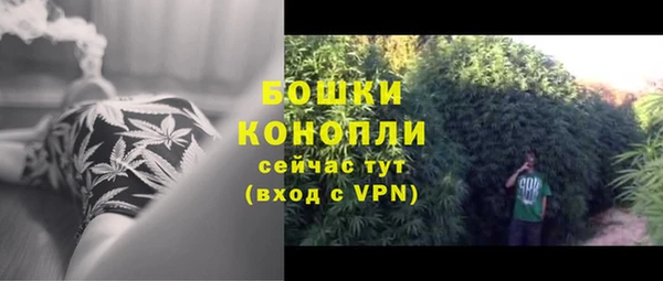 jwh Богородск