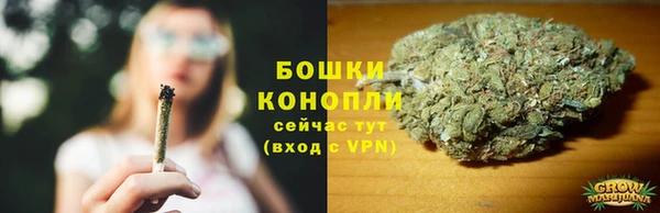 первитин Богданович