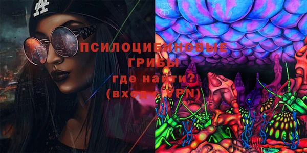 jwh Богородск