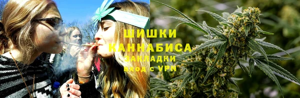 первитин Богданович