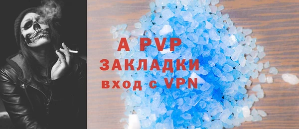 первитин Богданович