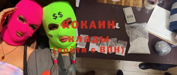 первитин Богданович