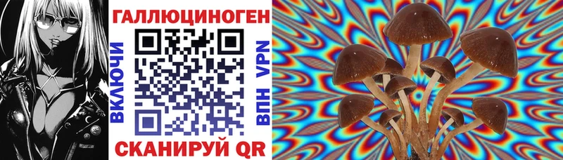 купить наркоту  KRAKEN зеркало  Псилоцибиновые грибы Magic Shrooms  Раменское 